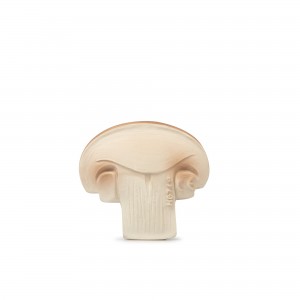 MANOLO The Mushroom