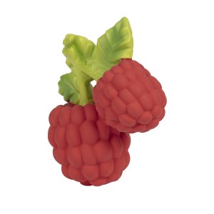 VALERY the Raspberry